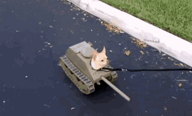 Tank Dog