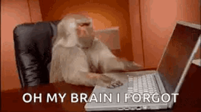 Monkey, Frustrated, Oh No, I Forgot My Password, No Wifi, My Brain