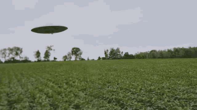 Flying Saucer, ufo, aliens, Space Ship, King For A Day, Anderson East
