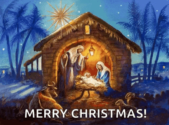 Feliz Natal, Merry Christmas, Seasons Greetings, holiday, celebrate