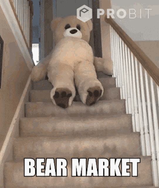 bear, bitcoin, cryptocurrency, bull, btc, trading, All Time Low, investment, invest, investing, fomo, fud, bullish, bearish, Bear Market, volatility, Bull Market, Trading Fees