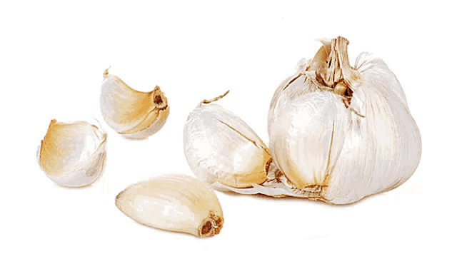 garlic garlic, cloves, roll, silly