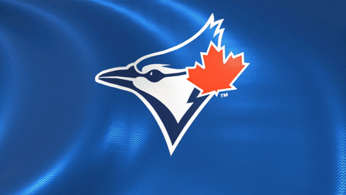 IT'S HAPPENING! THE TORONTO BLUE JAYS PUNCH THEIR TICKET TO THE WORLD  SERIES FOR THE FIRST TIME SINCE 1993! 😤🇨🇦